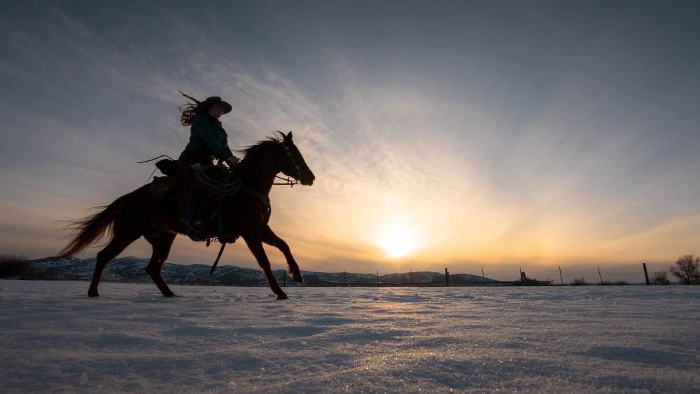 Horse Riding Adventures